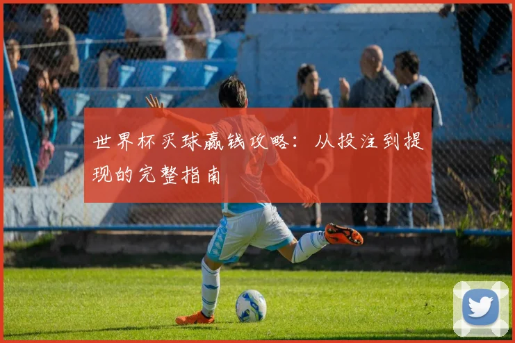世界杯买球赢钱攻略:从投注到提现的完整指南