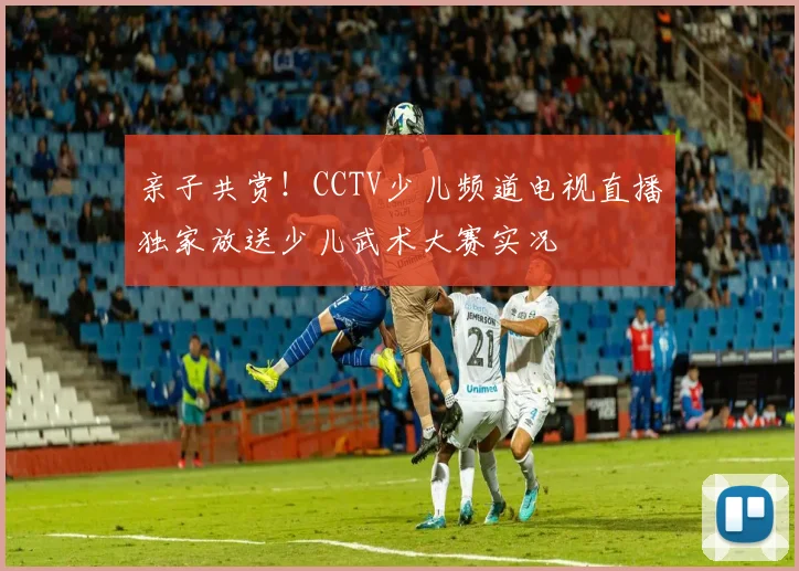 亲子共赏！CCTV少儿频道电视直播独家放送少儿武术大赛实况