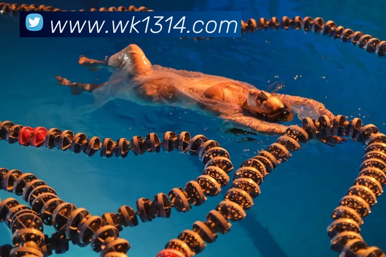 kaiyun网址APP 体育赛事宣传图